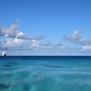 香香公主被爱犬拔河是哪一期
